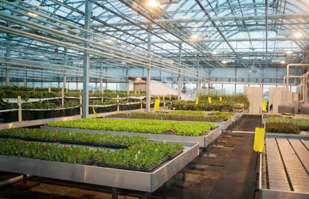 Les fermes Lufa Fermes urbaines sur les toits URBANIA