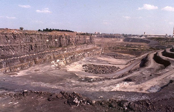 #79 - Un verger sur le site de l'ancienne carrière Miron ...