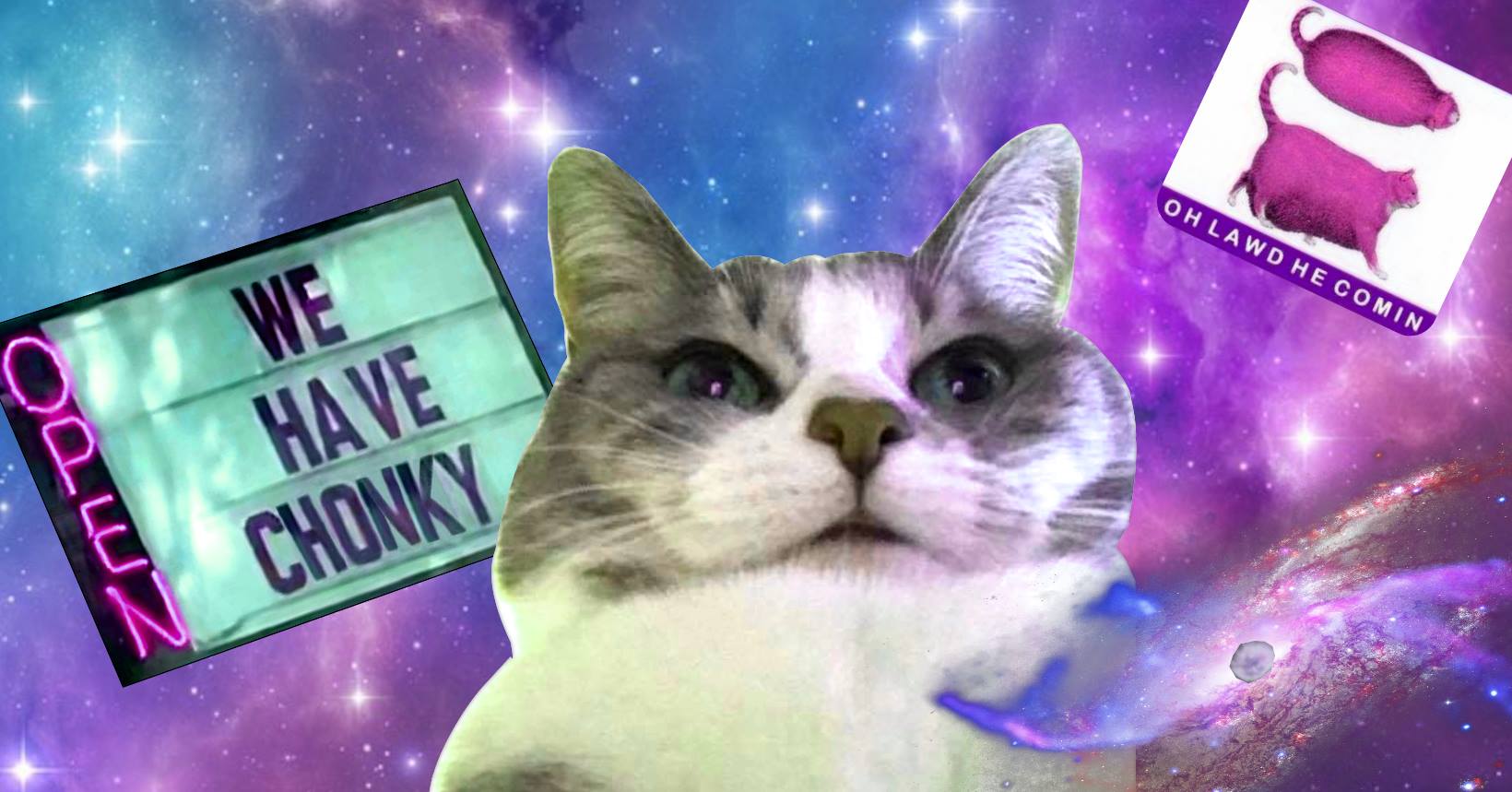 Le Paradis Existe Et C est Un Groupe Facebook De Gros Chats URBANIA